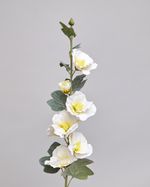 ONE-SIZE---White