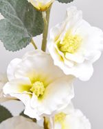 ONE-SIZE---White