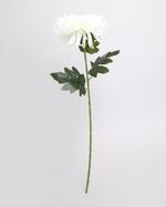 ONE-SIZE---White