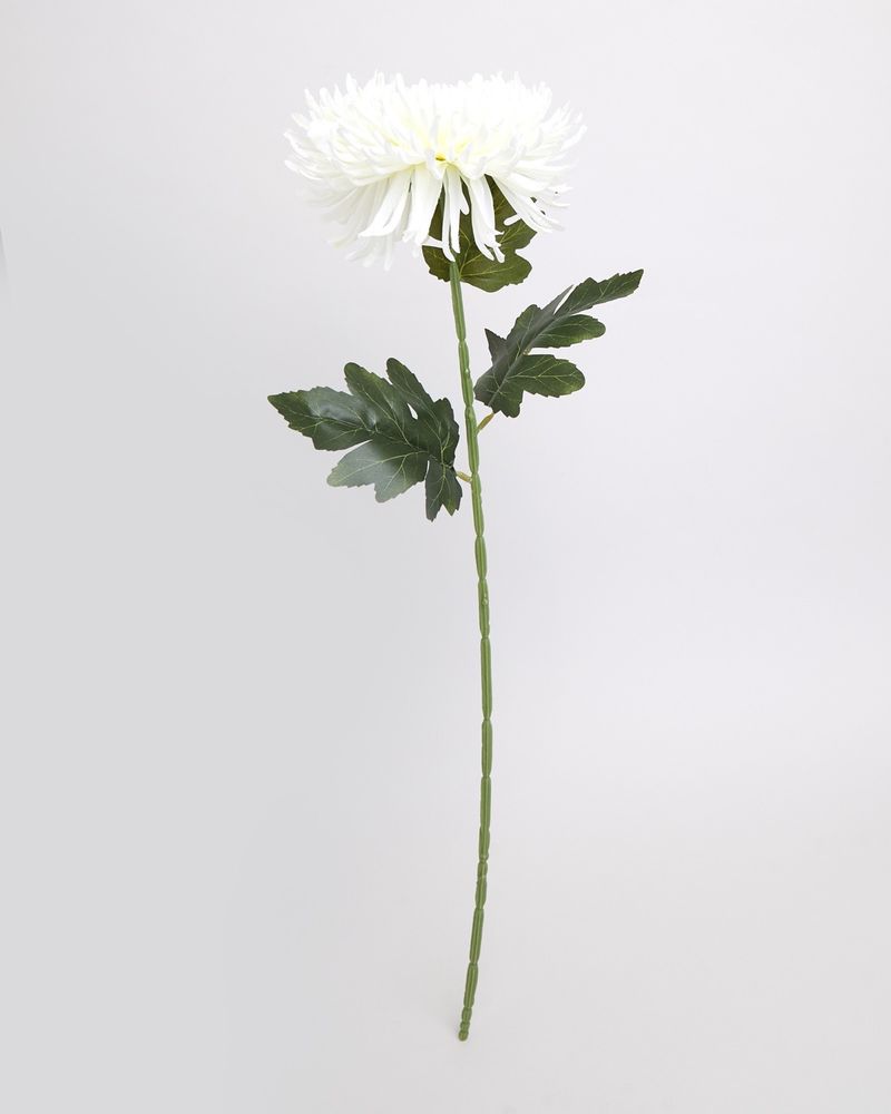 ONE-SIZE---White