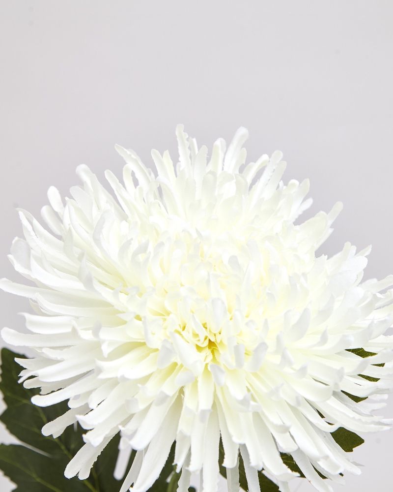 ONE-SIZE---White