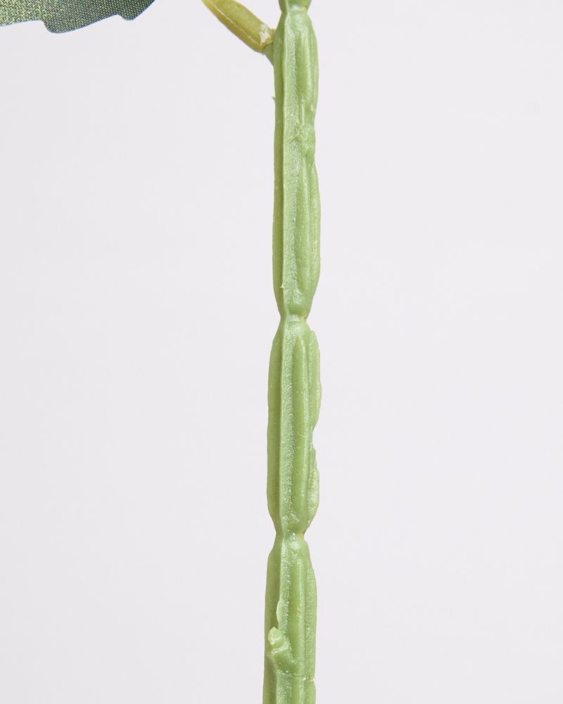 ONE-SIZE---White
