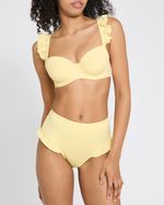 34B---Lemon