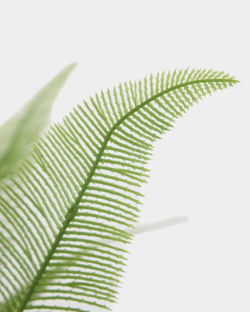 ONE-SIZE---Green