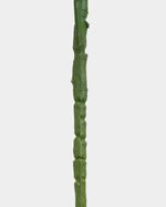 ONE-SIZE---Green