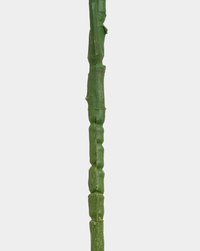 ONE-SIZE---Green