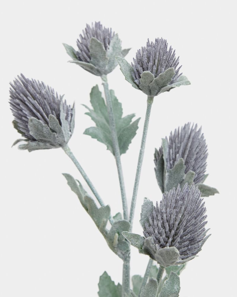 ONE-SIZE---Purple