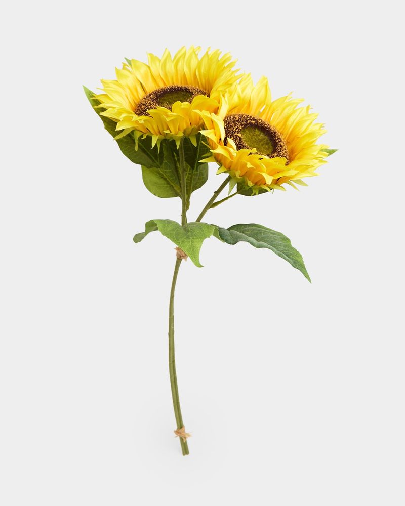 ONE-SIZE---Yellow