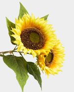 ONE-SIZE---Yellow