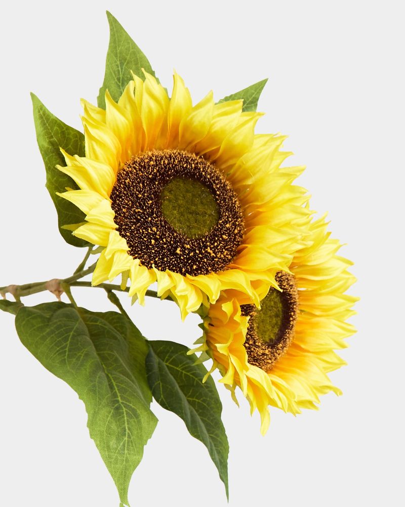 ONE-SIZE---Yellow
