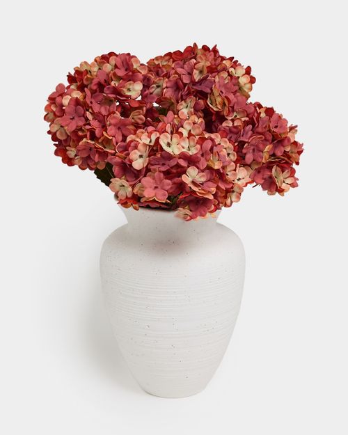 Hydrangea Stem