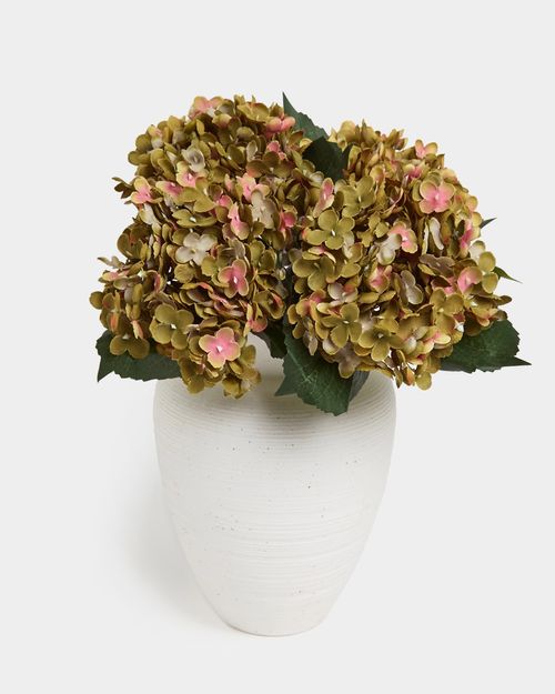 Single Hydrangea