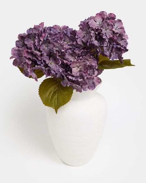 Purple Hydrangea
