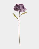 ONE-SIZE---Purple