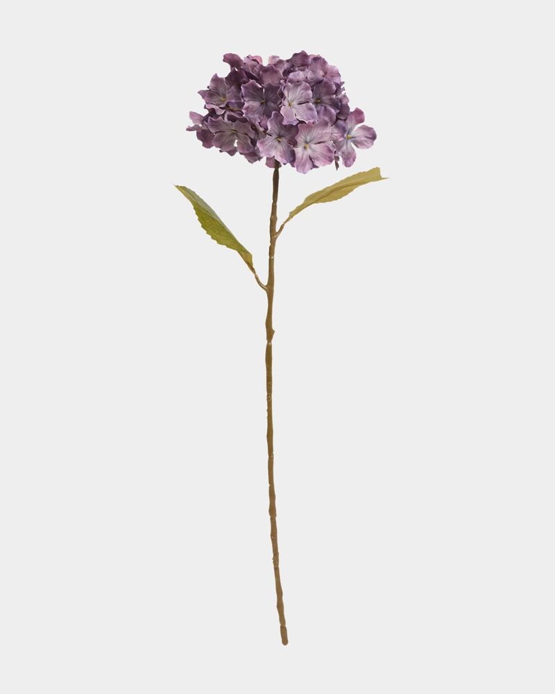 ONE-SIZE---Purple