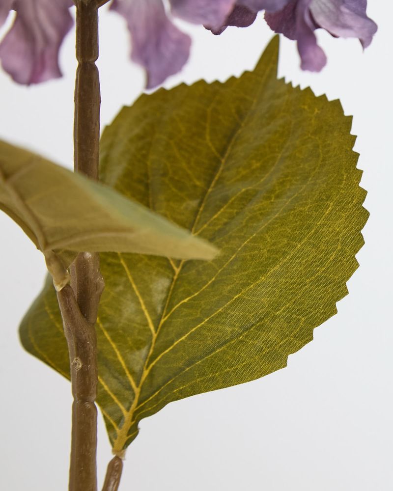 ONE-SIZE---Purple