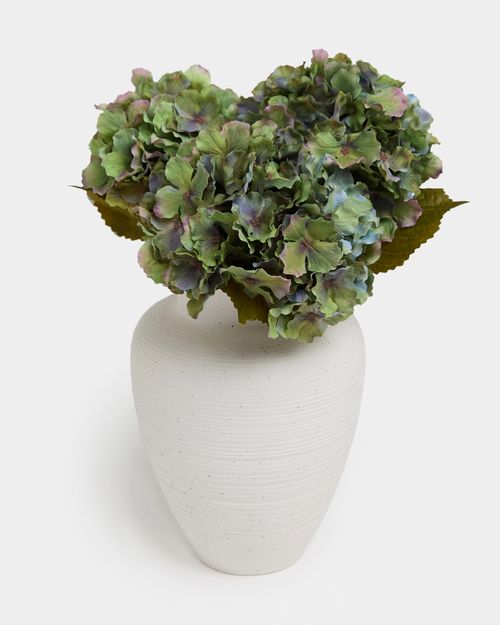 Green Hydrangea