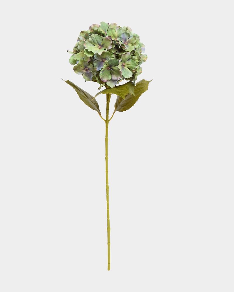 ONE-SIZE---Green