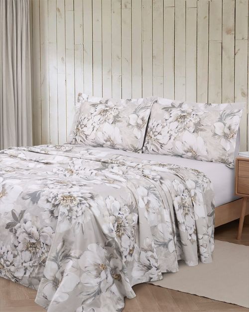 Paul Costelloe Living 300TC Printed Sheet Set