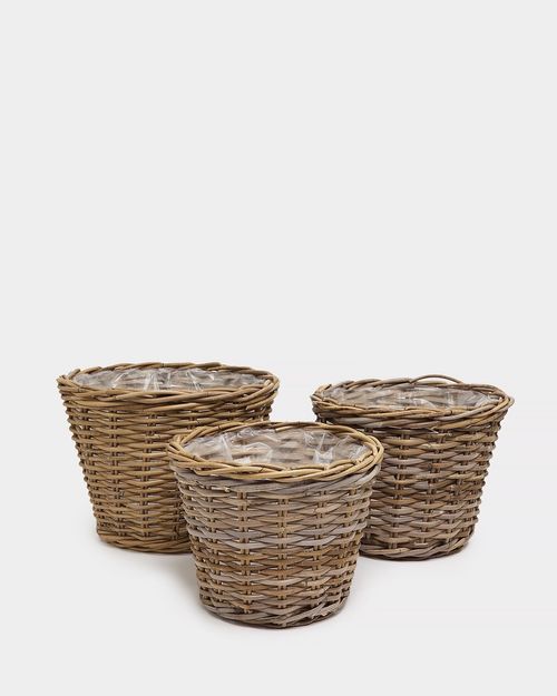 Paul Costelloe Living Laura Planter