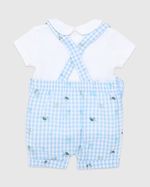 NEWBORN---Baby-Blue