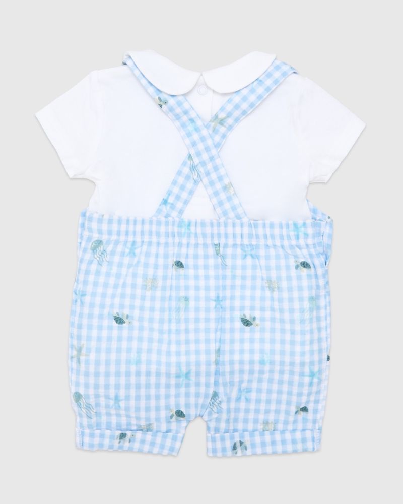 NEWBORN---Baby-Blue
