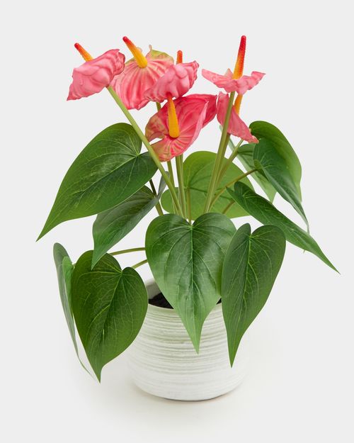 Anthurium Nunzia Faux Plant