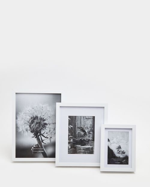 Gallery Picture Frame