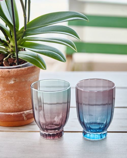 Carolyn Donnelly Eclectic Glass Tumbler