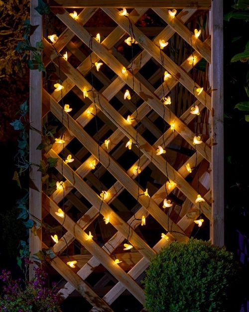 Buzzy Bee 50 String Lights