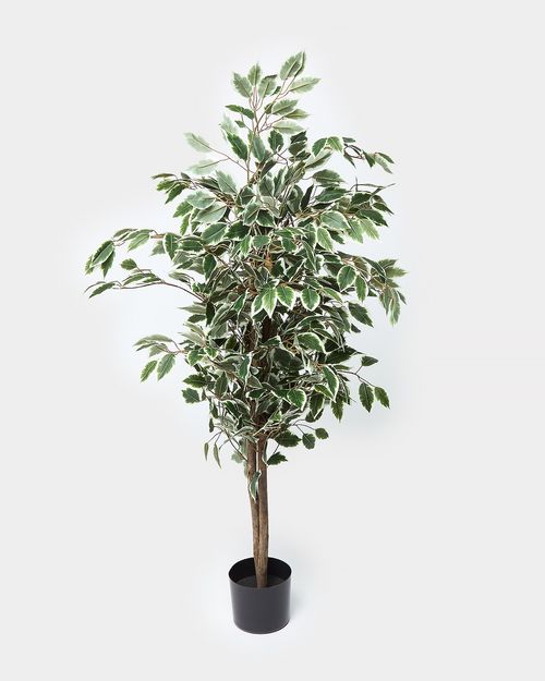 Europalms Ficus Tree
