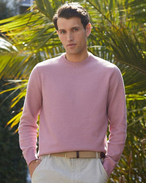 Regular Fit Cotton Crew Neck Jumper