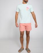 L---Coral