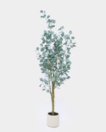 ONE-SIZE---Green
