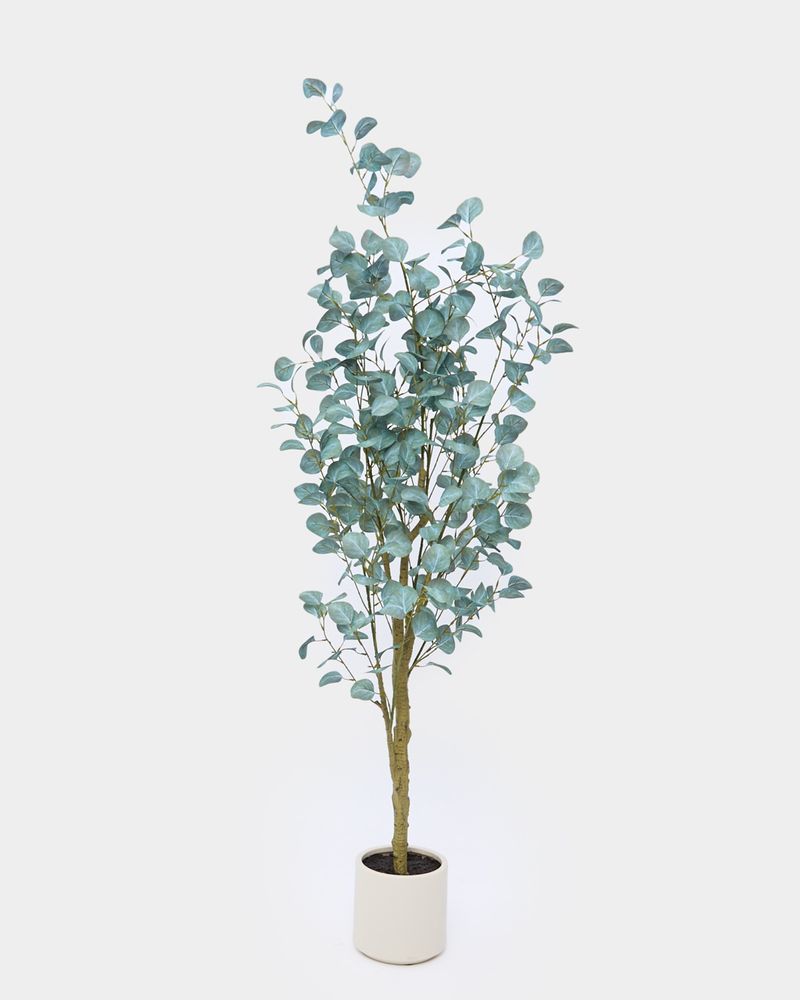 ONE-SIZE---Green