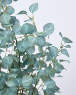 ONE-SIZE---Green