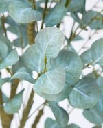 ONE-SIZE---Green