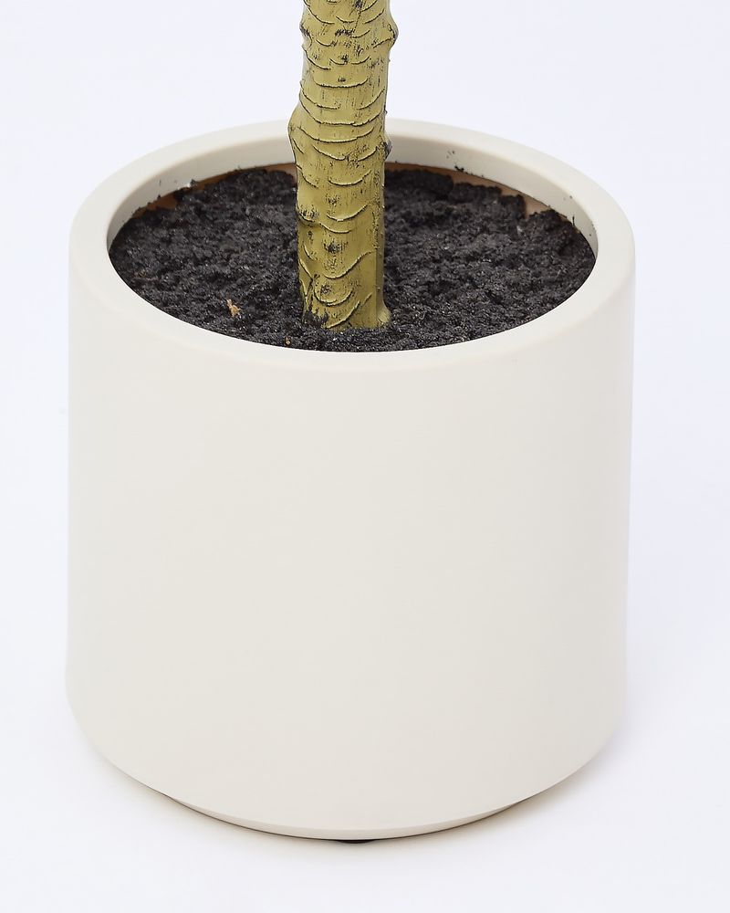 ONE-SIZE---Green