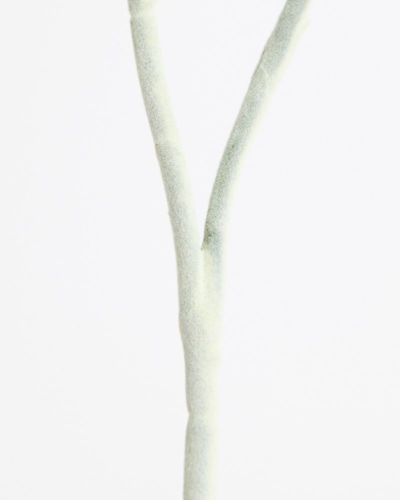 ONE-SIZE---Green