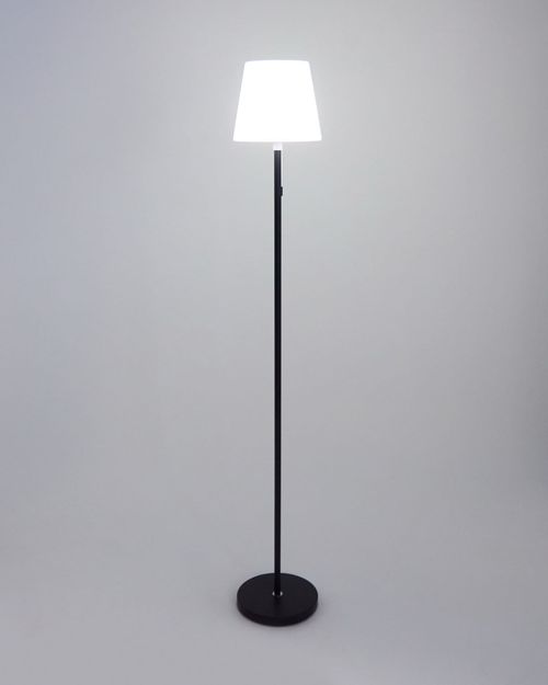 Standing Solar Lamp
