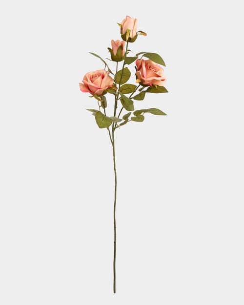Multi Rose Stem