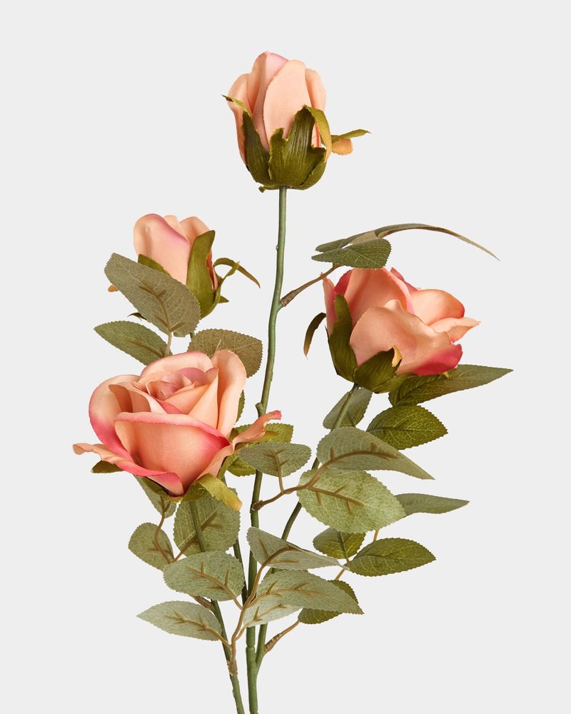 ONE-SIZE---Pink