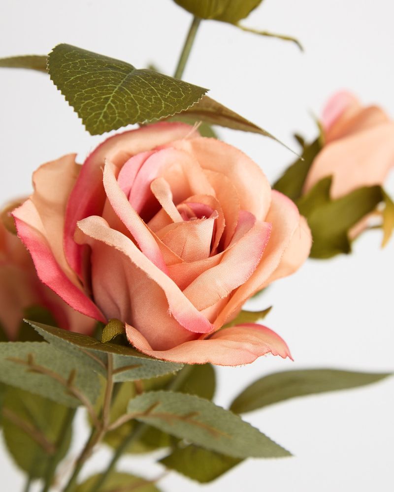 ONE-SIZE---Pink