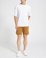 30---Tan