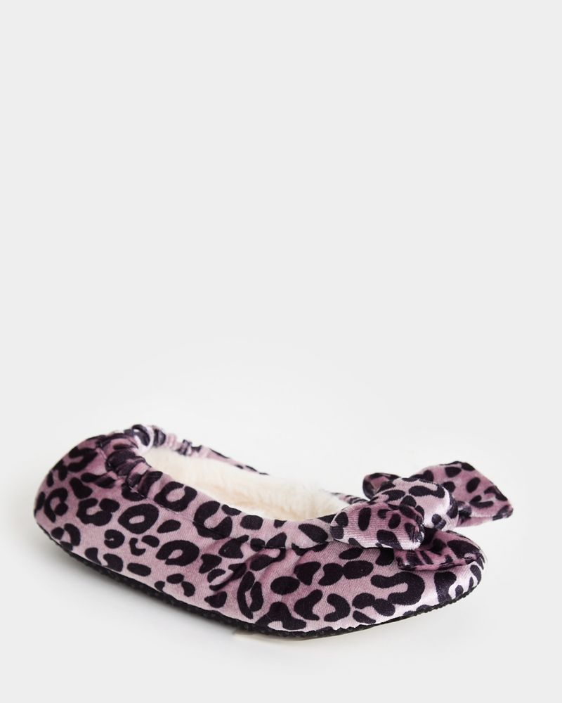 10-11---Leopard
