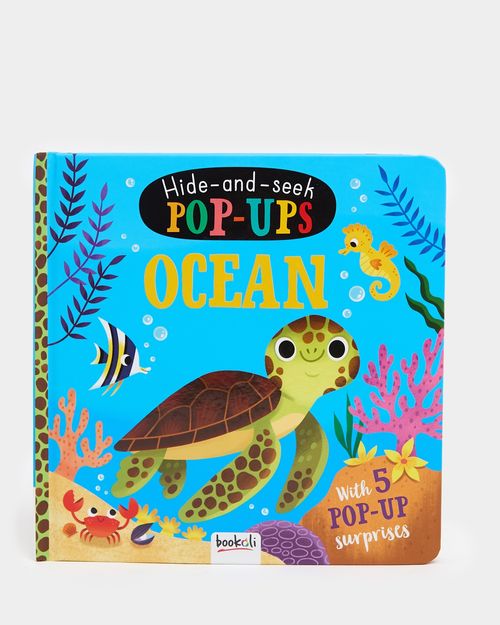 Hide And Seek Book