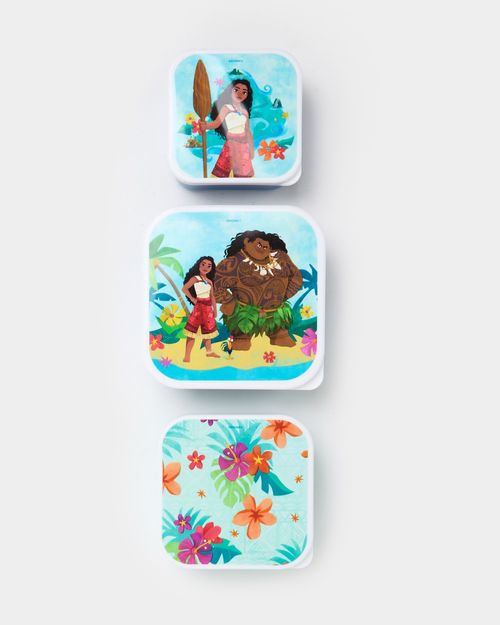 Lunch Box - Pack Of 3