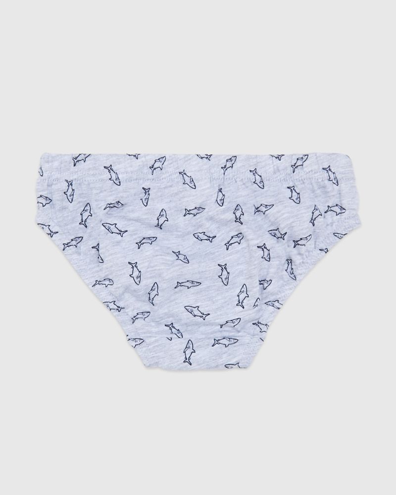 7346203_blue-grey_2