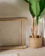 7755182_antique-gold_1