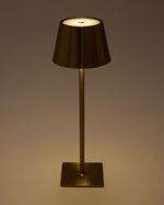 ONE-SIZE---Antique-Gold